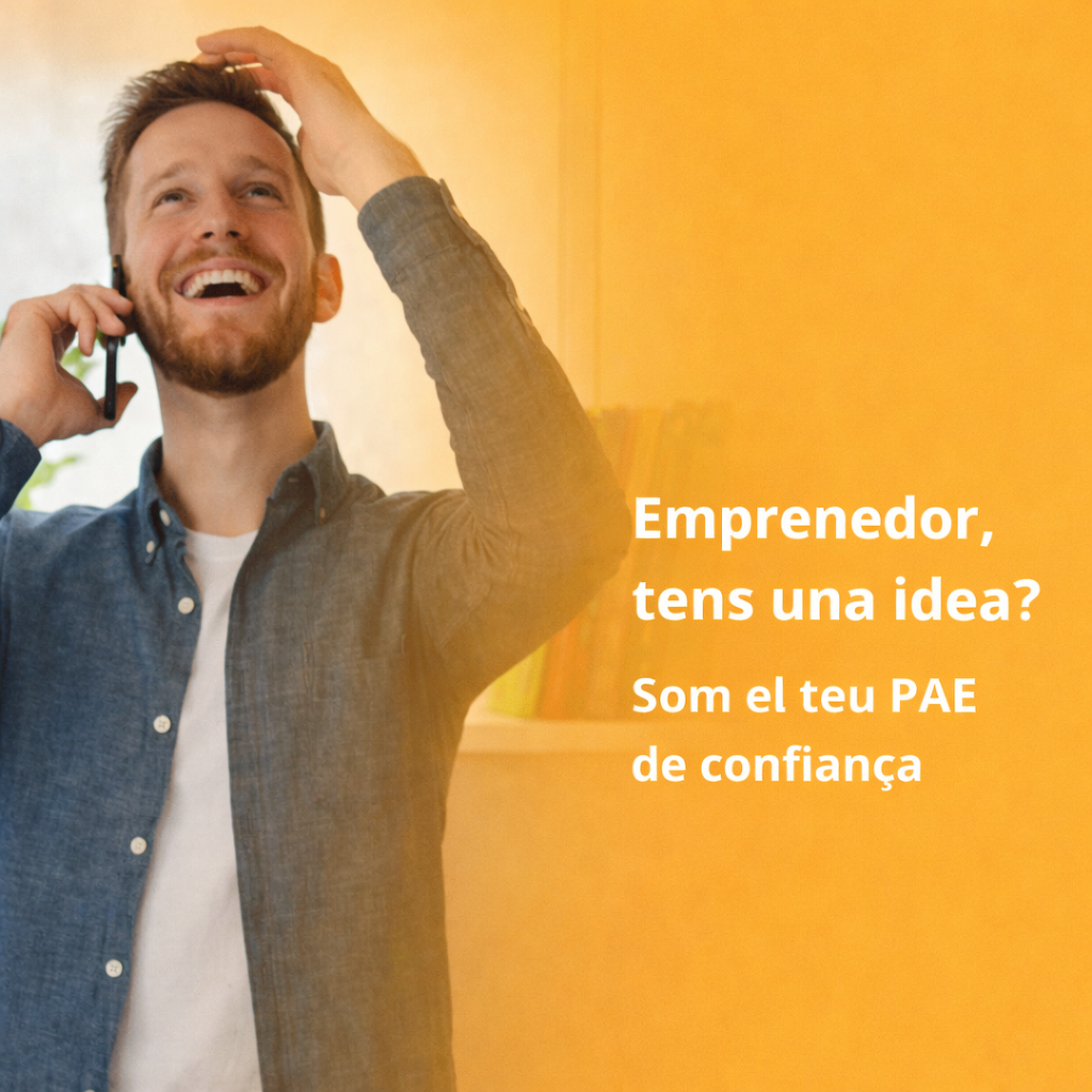 Serveis PAE - Abac Assessors